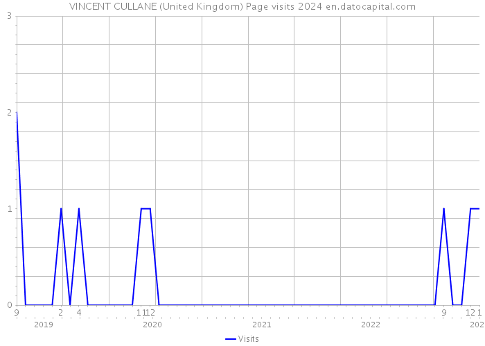 VINCENT CULLANE (United Kingdom) Page visits 2024 