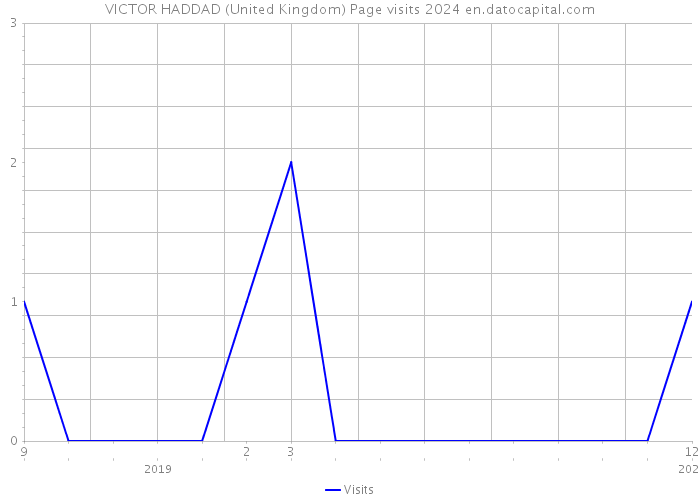 VICTOR HADDAD (United Kingdom) Page visits 2024 