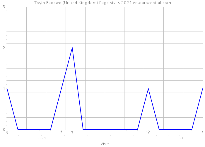 Toyin Badewa (United Kingdom) Page visits 2024 