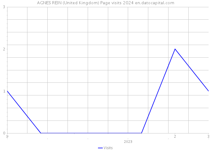 AGNES REIN (United Kingdom) Page visits 2024 