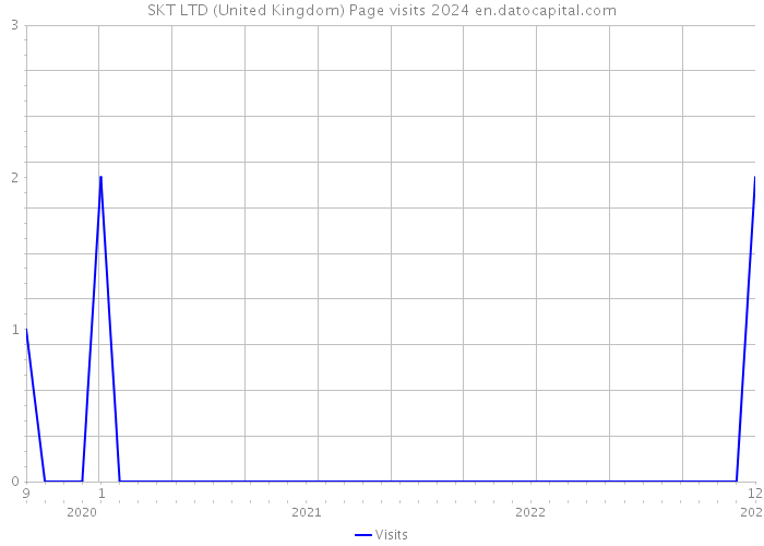 SKT LTD (United Kingdom) Page visits 2024 