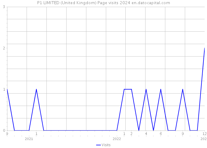 P1 LIMITED (United Kingdom) Page visits 2024 