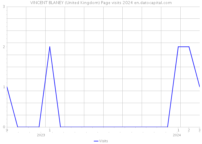 VINCENT BLANEY (United Kingdom) Page visits 2024 