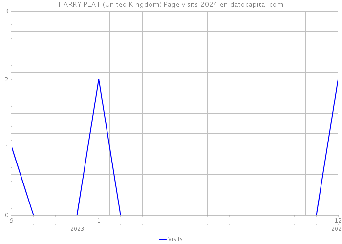 HARRY PEAT (United Kingdom) Page visits 2024 