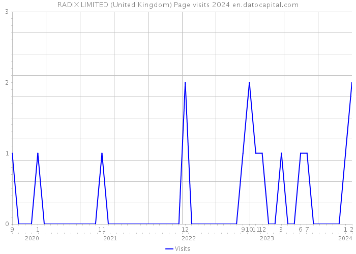 RADIX LIMITED (United Kingdom) Page visits 2024 