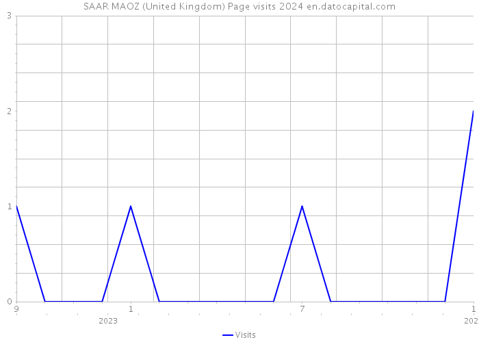 SAAR MAOZ (United Kingdom) Page visits 2024 