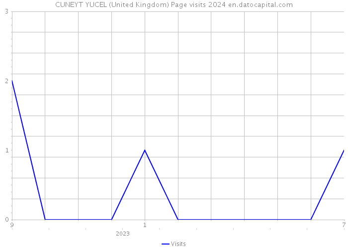 CUNEYT YUCEL (United Kingdom) Page visits 2024 