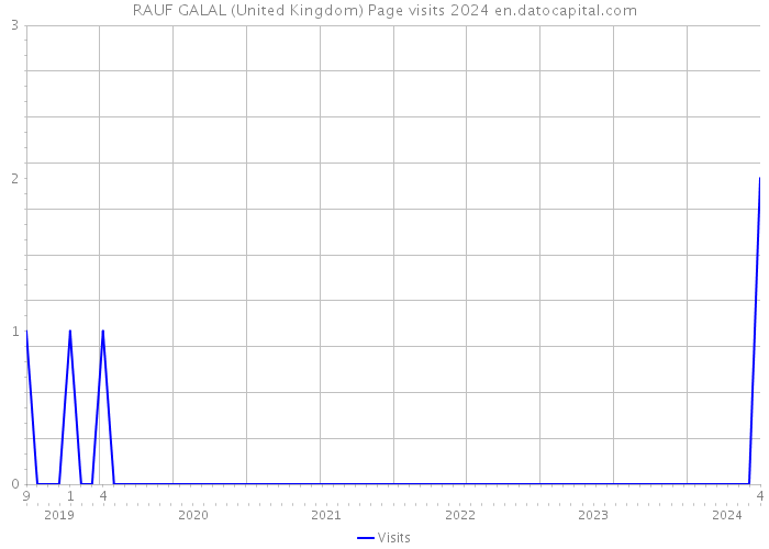 RAUF GALAL (United Kingdom) Page visits 2024 