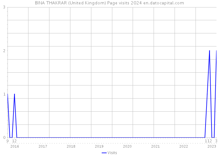 BINA THAKRAR (United Kingdom) Page visits 2024 