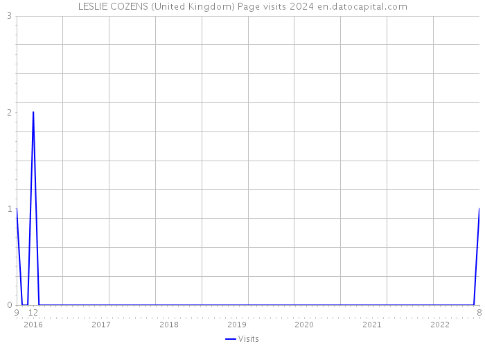 LESLIE COZENS (United Kingdom) Page visits 2024 