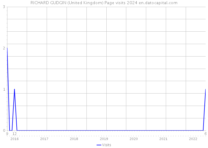 RICHARD GUDGIN (United Kingdom) Page visits 2024 
