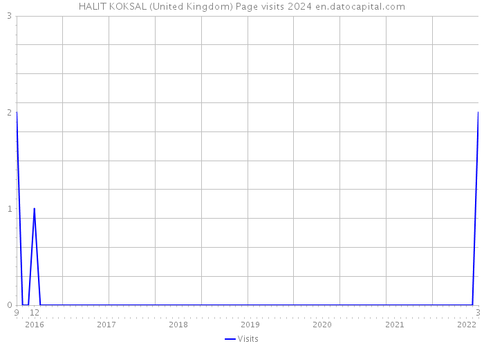 HALIT KOKSAL (United Kingdom) Page visits 2024 