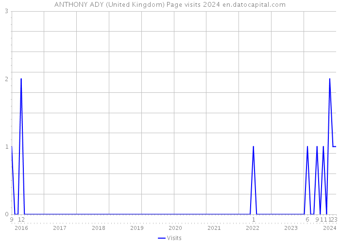 ANTHONY ADY (United Kingdom) Page visits 2024 