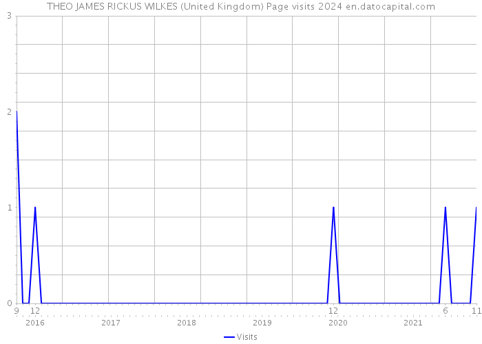 THEO JAMES RICKUS WILKES (United Kingdom) Page visits 2024 