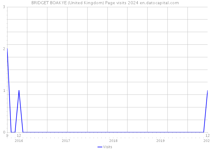 BRIDGET BOAKYE (United Kingdom) Page visits 2024 
