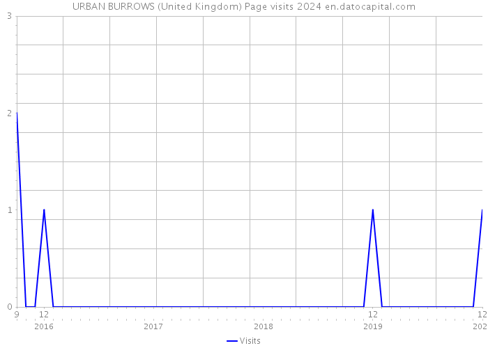 URBAN BURROWS (United Kingdom) Page visits 2024 
