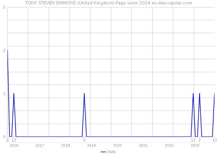 TONY STEVEN SIMMONS (United Kingdom) Page visits 2024 