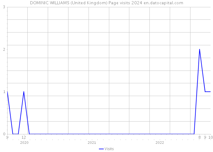 DOMINIC WILLIAMS (United Kingdom) Page visits 2024 