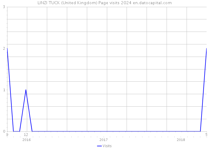 LINZI TUCK (United Kingdom) Page visits 2024 