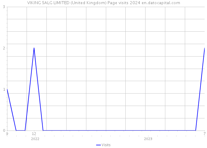 VIKING SALG LIMITED (United Kingdom) Page visits 2024 