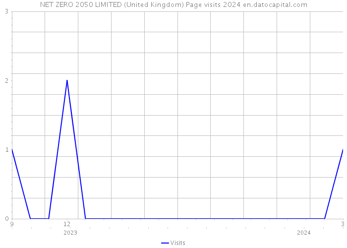 NET ZERO 2050 LIMITED (United Kingdom) Page visits 2024 
