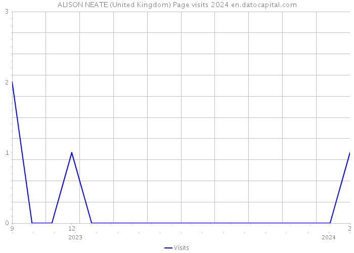 ALISON NEATE (United Kingdom) Page visits 2024 