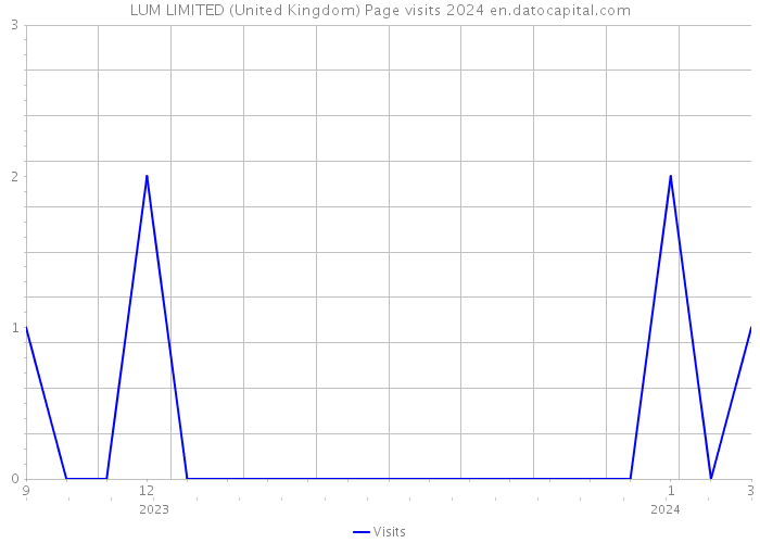 LUM LIMITED (United Kingdom) Page visits 2024 