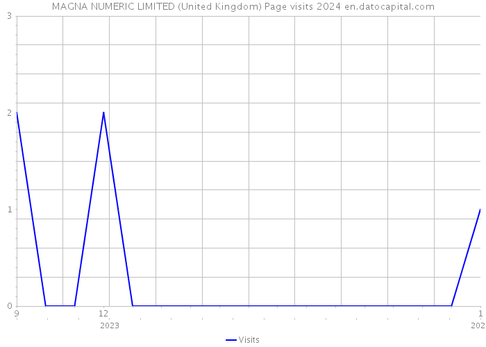 MAGNA NUMERIC LIMITED (United Kingdom) Page visits 2024 
