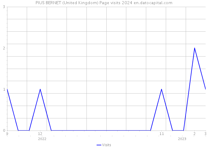 PIUS BERNET (United Kingdom) Page visits 2024 