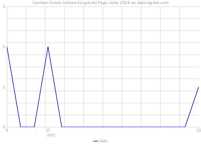 Carmen Gowie (United Kingdom) Page visits 2024 