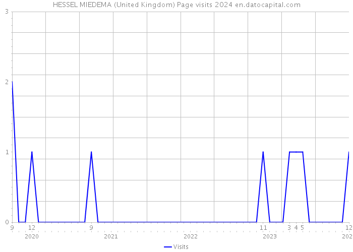 HESSEL MIEDEMA (United Kingdom) Page visits 2024 