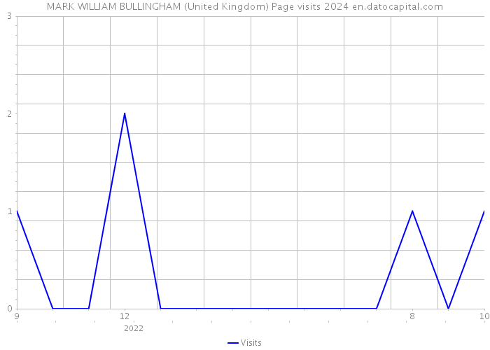 MARK WILLIAM BULLINGHAM (United Kingdom) Page visits 2024 