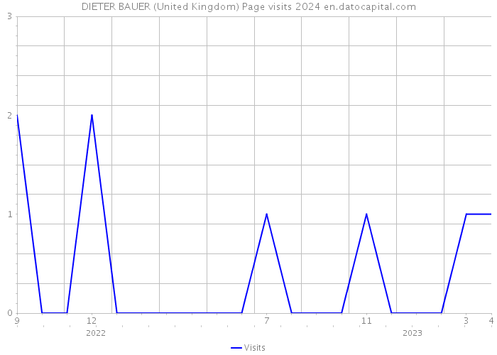 DIETER BAUER (United Kingdom) Page visits 2024 