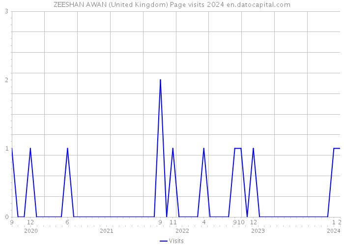 ZEESHAN AWAN (United Kingdom) Page visits 2024 