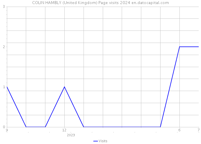 COLIN HAMBLY (United Kingdom) Page visits 2024 