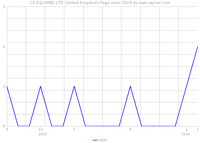 CS SQUARED LTD (United Kingdom) Page visits 2024 