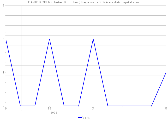 DAVID KOKER (United Kingdom) Page visits 2024 
