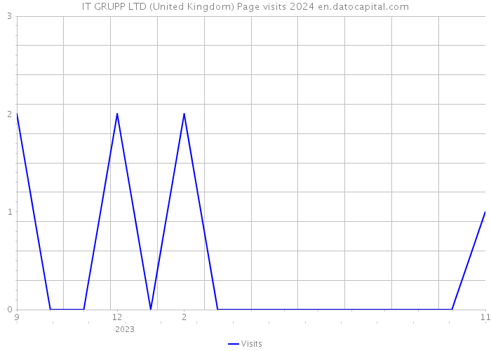 IT GRUPP LTD (United Kingdom) Page visits 2024 