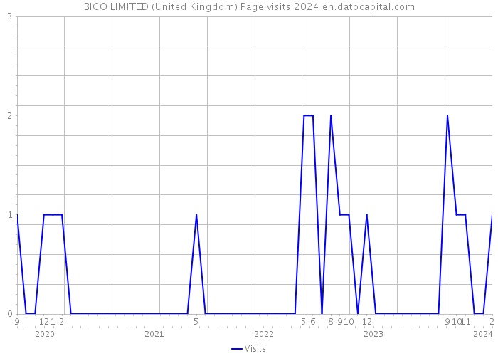 BICO LIMITED (United Kingdom) Page visits 2024 