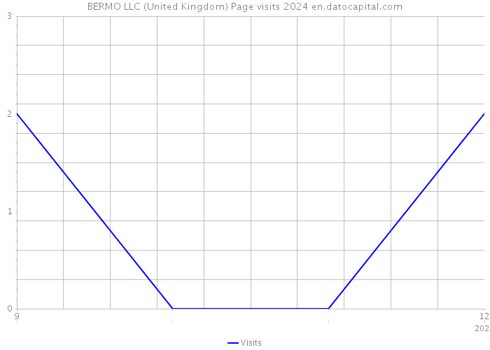 BERMO LLC (United Kingdom) Page visits 2024 