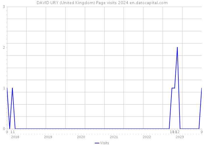 DAVID URY (United Kingdom) Page visits 2024 