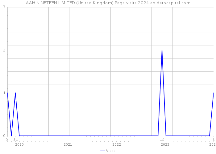 AAH NINETEEN LIMITED (United Kingdom) Page visits 2024 