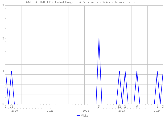 AMELIA LIMITED (United Kingdom) Page visits 2024 
