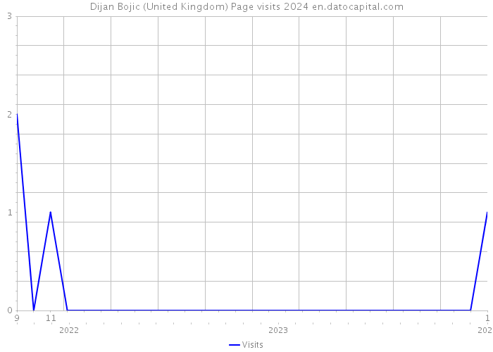 Dijan Bojic (United Kingdom) Page visits 2024 
