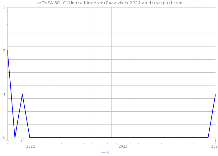 NATASA BOJIC (United Kingdom) Page visits 2024 