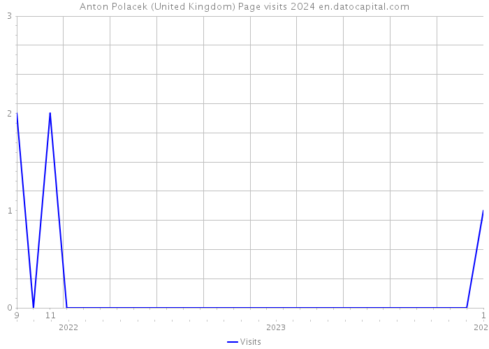 Anton Polacek (United Kingdom) Page visits 2024 