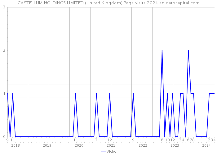 CASTELLUM HOLDINGS LIMITED (United Kingdom) Page visits 2024 