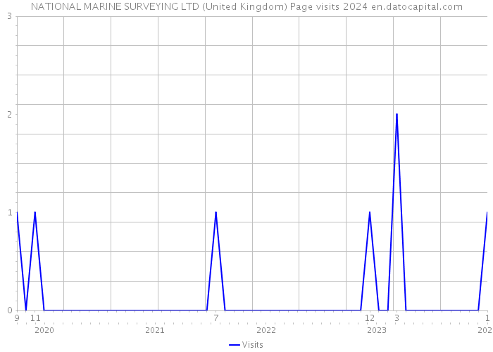 NATIONAL MARINE SURVEYING LTD (United Kingdom) Page visits 2024 