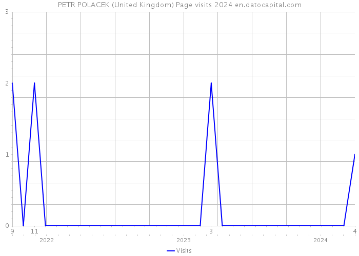 PETR POLACEK (United Kingdom) Page visits 2024 
