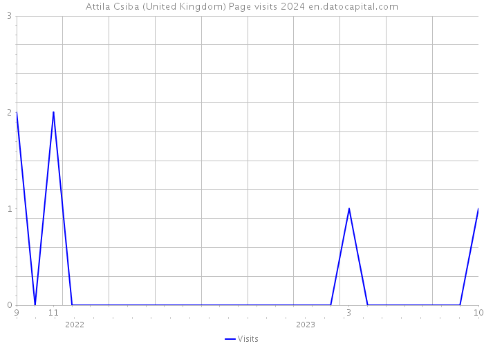 Attila Csiba (United Kingdom) Page visits 2024 